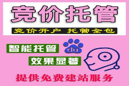 深入解析SEM竞价托管的成功案例